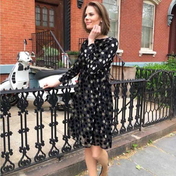 Apparalel Textured Chiffon Dress in Velvet Dot - Picture 2 of 2